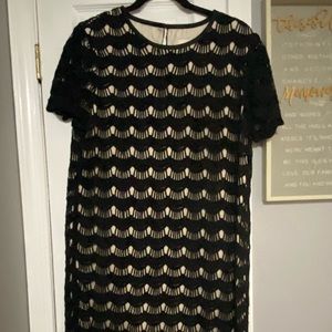 Kate spade Virginia scallops black dress